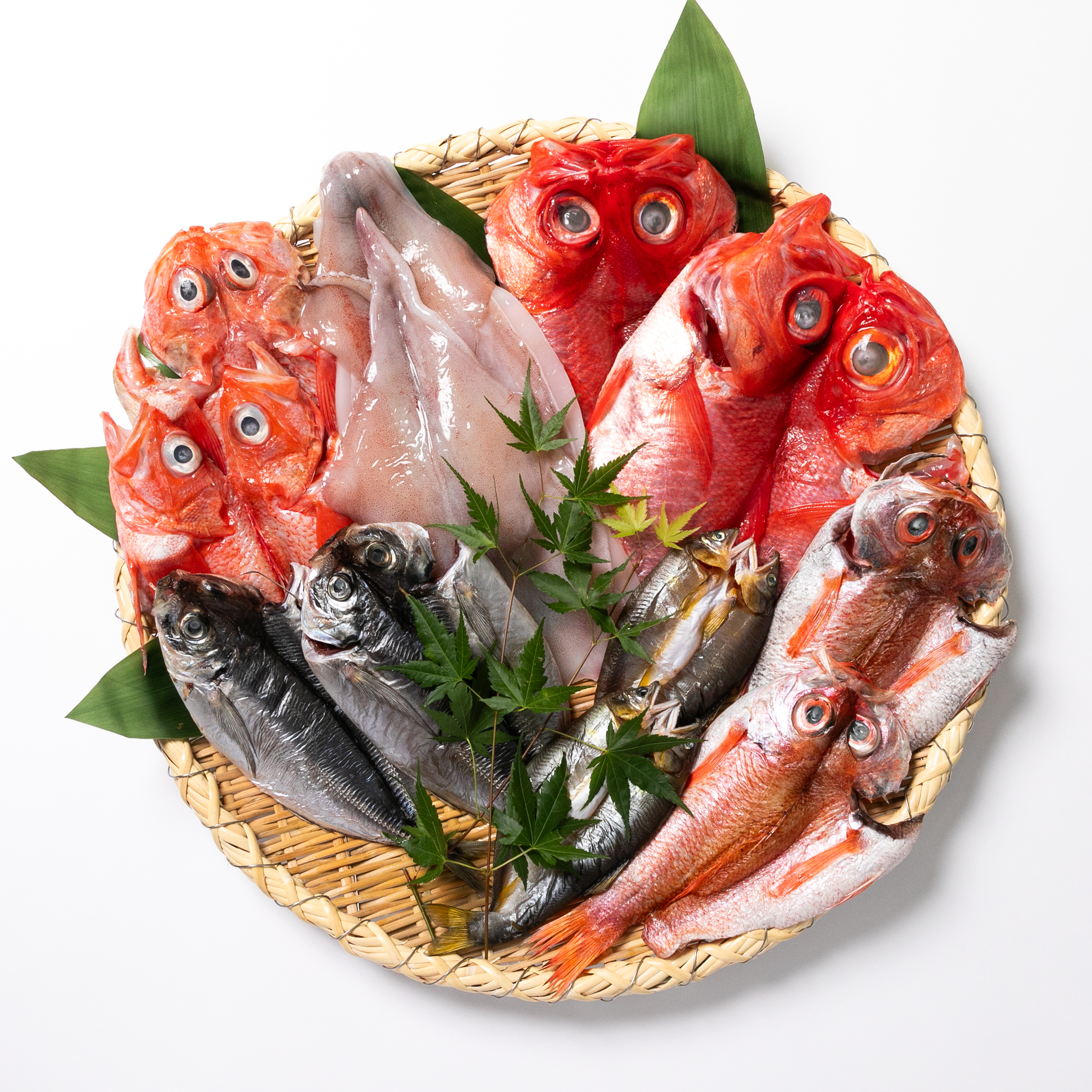 大阪・堺の魚屋さんの立ち飲み「Fish.K」でカツオの藁焼きに感激